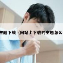 网站主题下载（网站上下载的主题怎么使用）