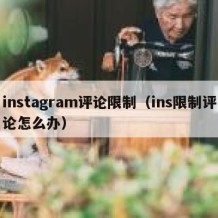 instagram评论限制（ins限制评论怎么办）