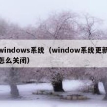 windows系统（window系统更新怎么关闭）