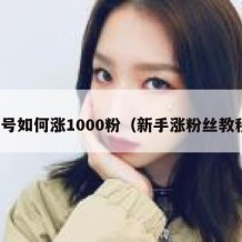 新号如何涨1000粉（新手涨粉丝教程）