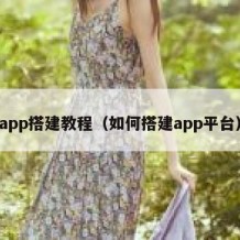 app搭建教程（如何搭建app平台）