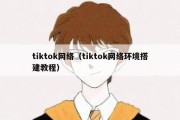 tiktok网络（tiktok网络环境搭建教程）