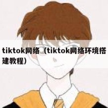 tiktok网络（tiktok网络环境搭建教程）