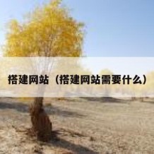 搭建网站（搭建网站需要什么）