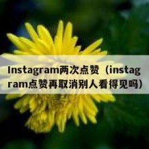 Instagram两次点赞（instagram点赞再取消别人看得见吗）