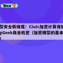 模型安全新维度：Ciuic加密计算保护DeepSeek商业机密（加密模型的基本要素）
