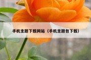 手机主题下载网站（手机主题包下载）