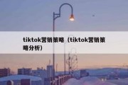 tiktok营销策略（tiktok营销策略分析）