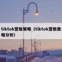 tiktok营销策略（tiktok营销策略分析）