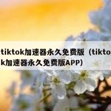 tiktok加速器永久免费版（tiktok加速器永久免费版APP）