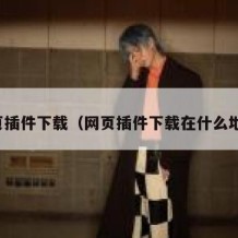 网页插件下载（网页插件下载在什么地方）