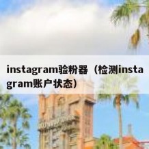 instagram验粉器（检测instagram账户状态）