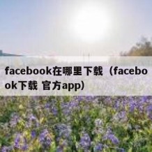 facebook在哪里下载（facebook下载 官方app）