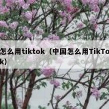 怎么用tiktok（中国怎么用TikTok）