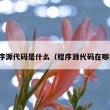 程序源代码是什么（程序源代码在哪找）