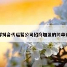 云浮抖音代运营公司招商加盟的简单介绍