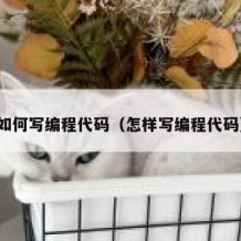 如何写编程代码（怎样写编程代码）