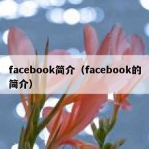 facebook简介（facebook的简介）