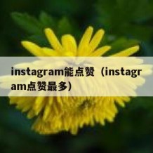 instagram能点赞（instagram点赞最多）