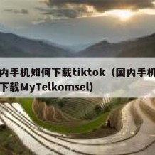 国内手机如何下载tiktok（国内手机如何下载MyTelkomsel）