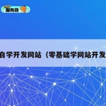 自学开发网站（零基础学网站开发）