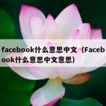 facebook什么意思中文（Facebook什么意思中文意思）