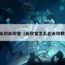 去水印水印宝（水印宝怎么去水印教程）