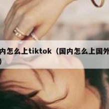 国内怎么上tiktok（国内怎么上国外软件）