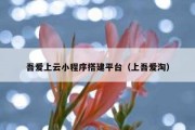 吾爱上云小程序搭建平台（上吾爱淘）