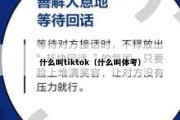 什么叫tiktok（什么叫体考）