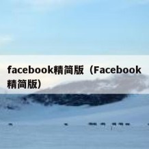 facebook精简版（Facebook精简版）