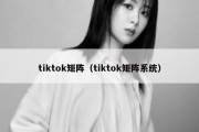 tiktok矩阵（tiktok矩阵系统）