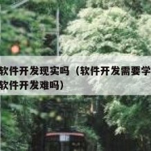 自学软件开发现实吗（软件开发需要学什么!自学软件开发难吗）