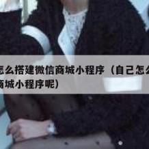 自己怎么搭建微信商城小程序（自己怎么搭建微信商城小程序呢）