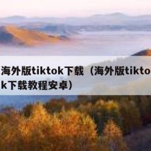 海外版tiktok下载（海外版tiktok下载教程安卓）