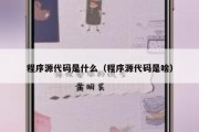 程序源代码是什么（程序源代码是啥）