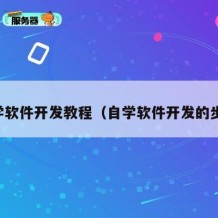 自学软件开发教程（自学软件开发的步骤）