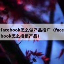 facebook怎么做产品推广（facebook怎么推销产品）