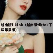 越南版tiktok（越南版tiktok下载苹果版）