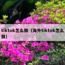 tiktok怎么做（海外tiktok怎么做）