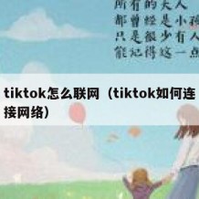 tiktok怎么联网（tiktok如何连接网络）