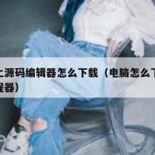 电脑上源码编辑器怎么下载（电脑怎么下载源码编程器）