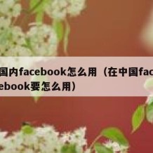 国内facebook怎么用（在中国facebook要怎么用）