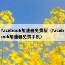 facebook加速器免费版（facebook加速器免费手机）