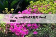 instagram自动点赞免费（ins点赞图）