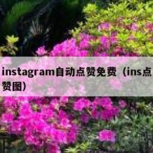instagram自动点赞免费（ins点赞图）