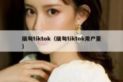 缅甸tiktok（缅甸tiktok用户量）