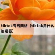 tiktok专线网络（tiktok用什么加速器）