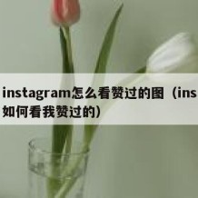 instagram怎么看赞过的图（ins如何看我赞过的）