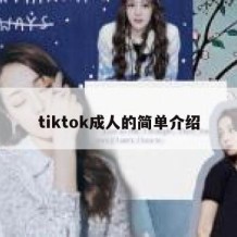 tiktok成人的简单介绍